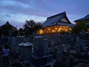 お寺の夜景の画像